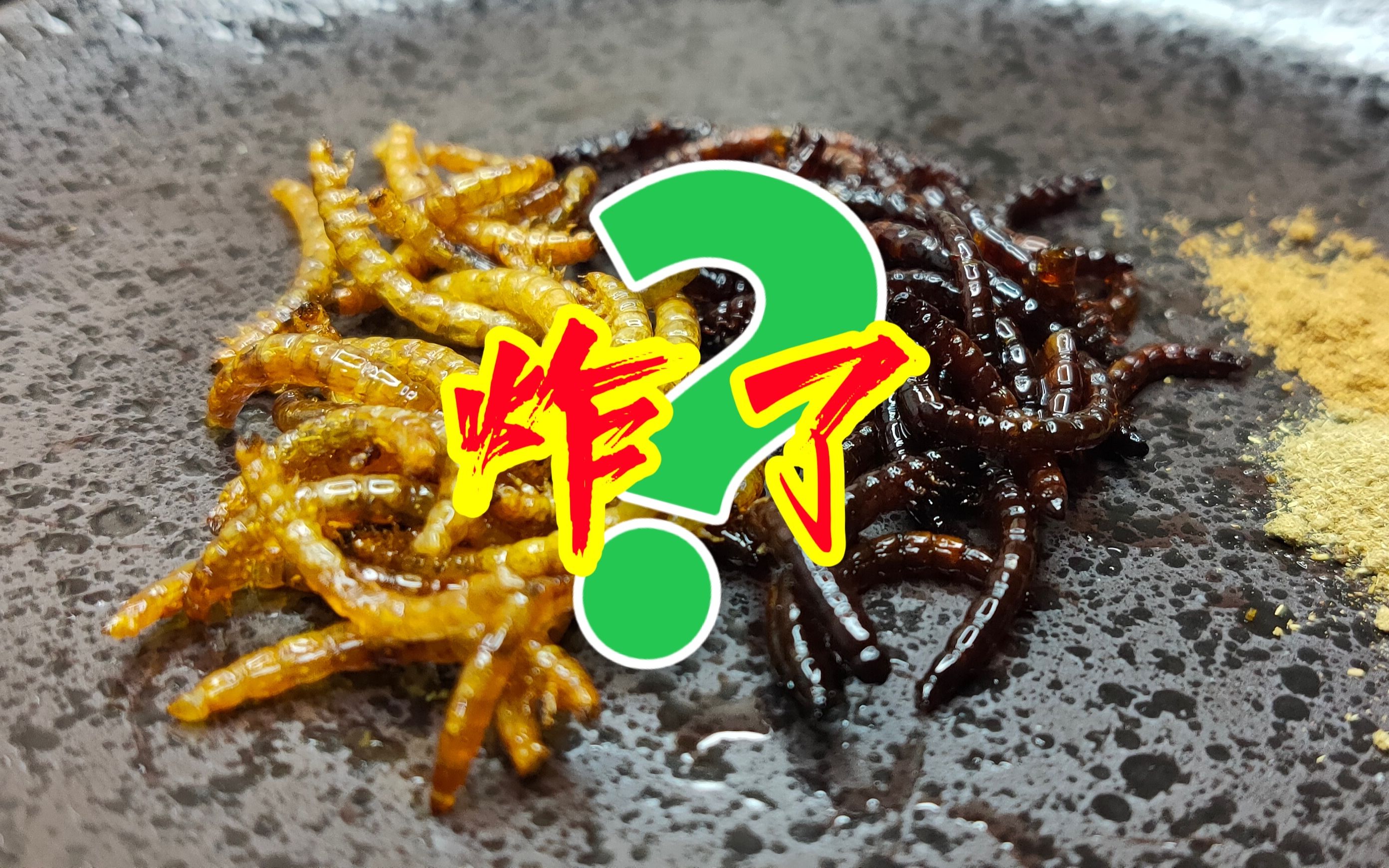 嘎嘣脆吃完整根鲣节的面包虫炸来吃会有木鱼花的香味吗