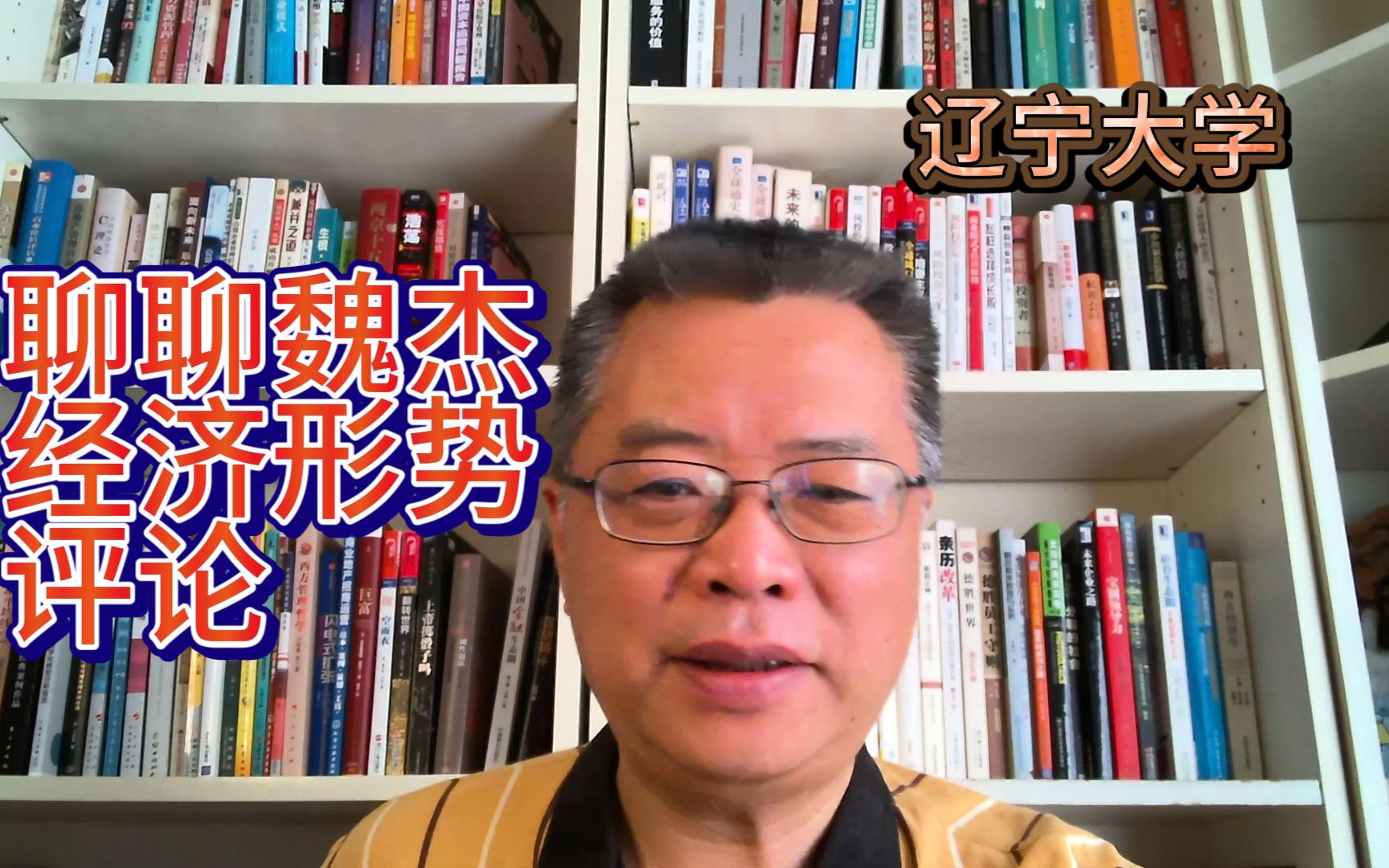 聊聊出身人民大学的魏杰教授:从他的经济形势通盘思考说起哔哩哔哩bilibili