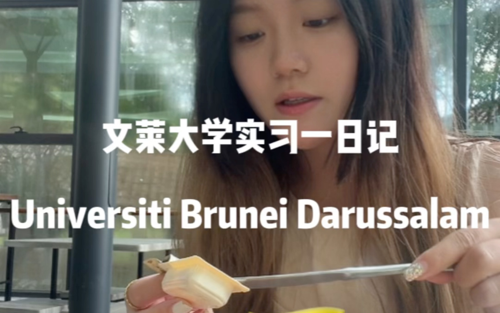 VLOG 文莱大学Universiti Brunei Darussalam实习记哔哩哔哩bilibili