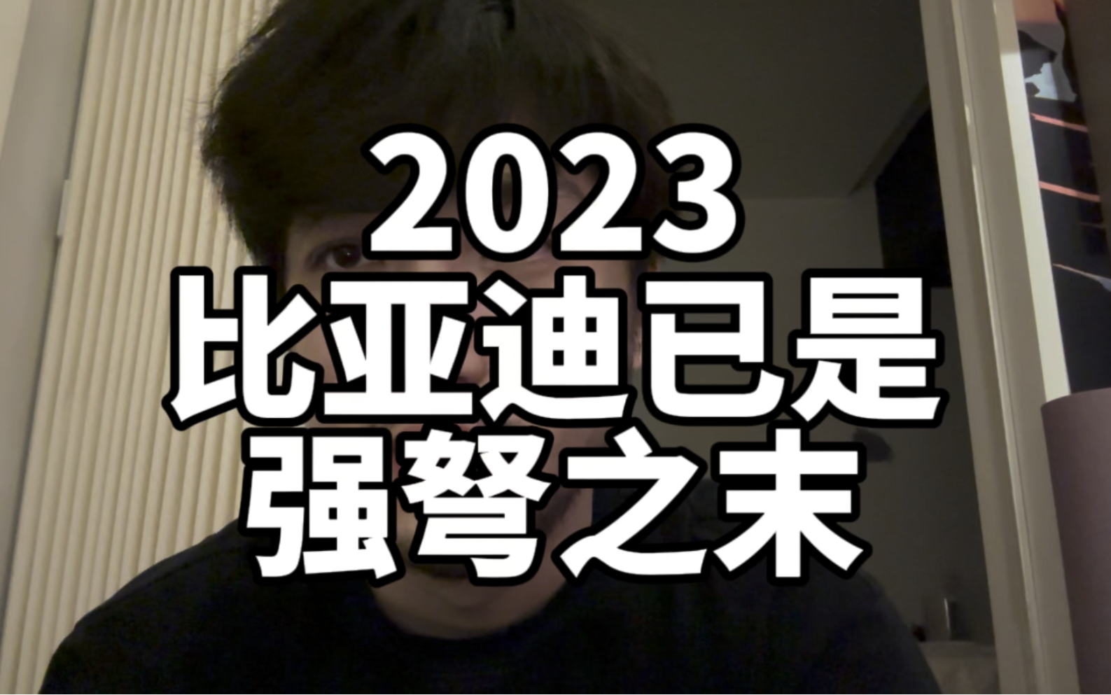 2023 比亚迪已是强弩之末哔哩哔哩bilibili