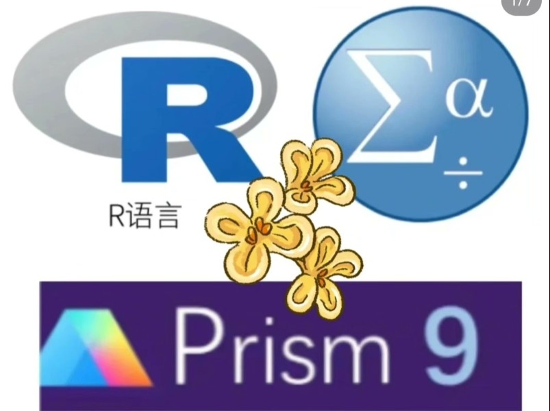 常见的医学生常用统计学软件学习(pass15,r语言,spss还有graphpad prism 9软件安装和教程免费分享)哔哩哔哩bilibili