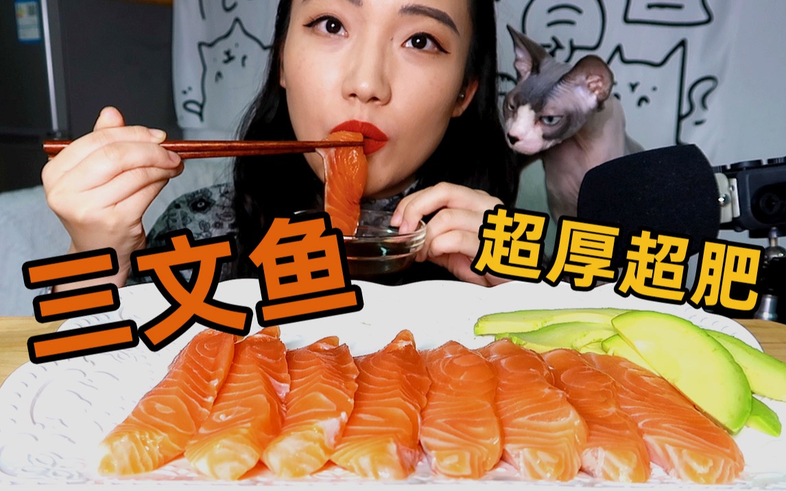 超厚超肥的三文鱼 小猫咪都无法抗拒~哔哩哔哩bilibili