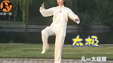 太极拳VS八极拳】文有太极安天下，武有八极定乾坤！_哔哩哔哩_