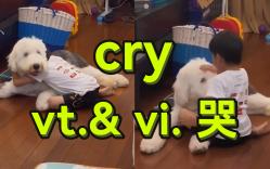 【四级单词】cry:vt.& vi. 哭哔哩哔哩bilibili