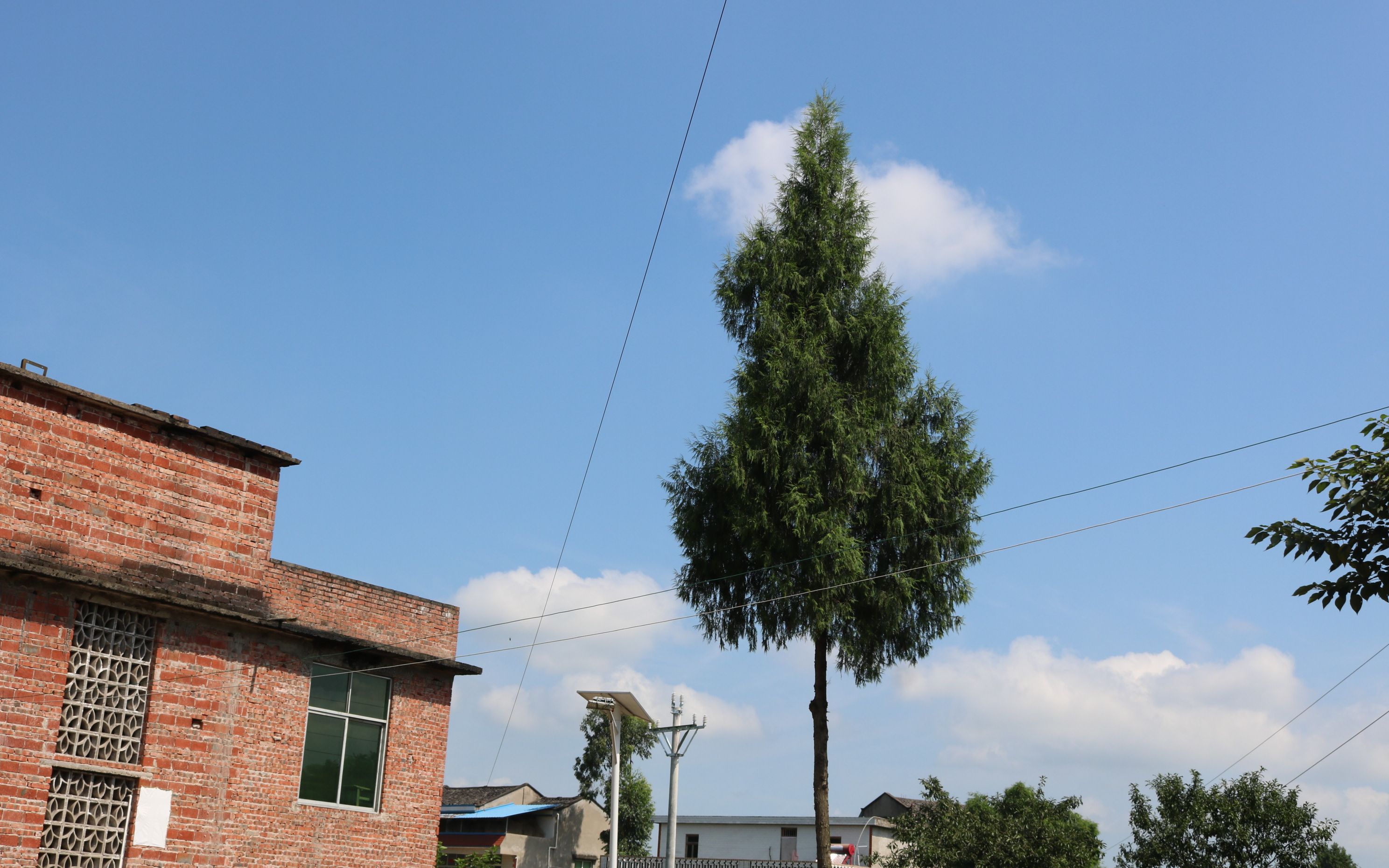 西师学子三下乡:初到酉溪镇