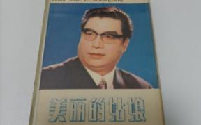 李双江 再见吧妈妈