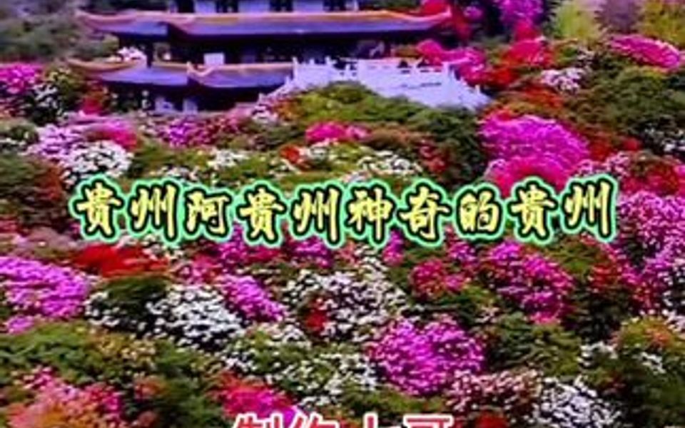 [图]3-5月是杜鹃花盛开的季节，百里杜鹃欢迎你