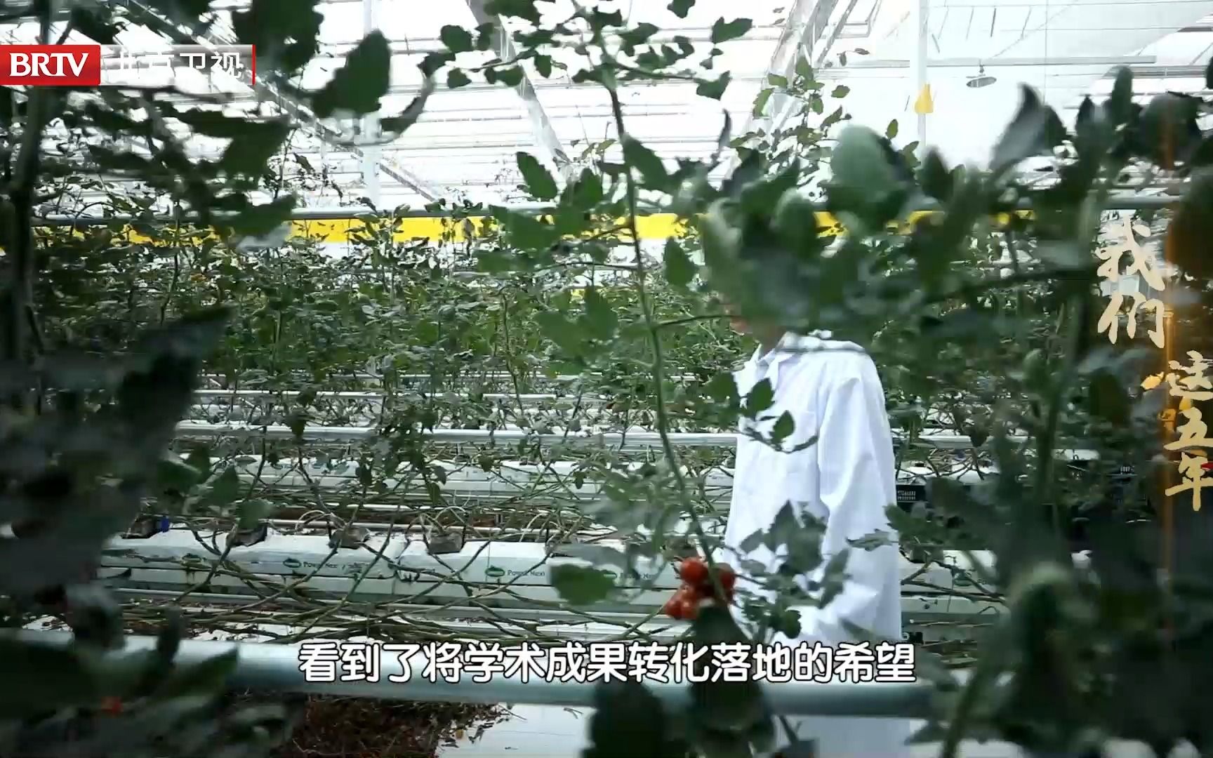 石俊峰用自己独特的直播方式 向人们传达一种新的生活理念哔哩哔哩bilibili