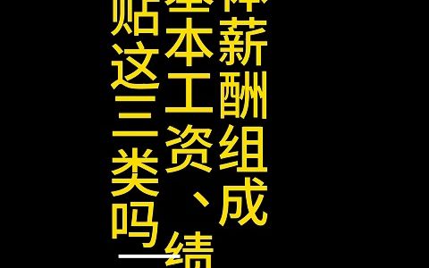 公司整体薪酬组成只包含基本工资、绩效奖金、津贴补贴这三类吗?哔哩哔哩bilibili