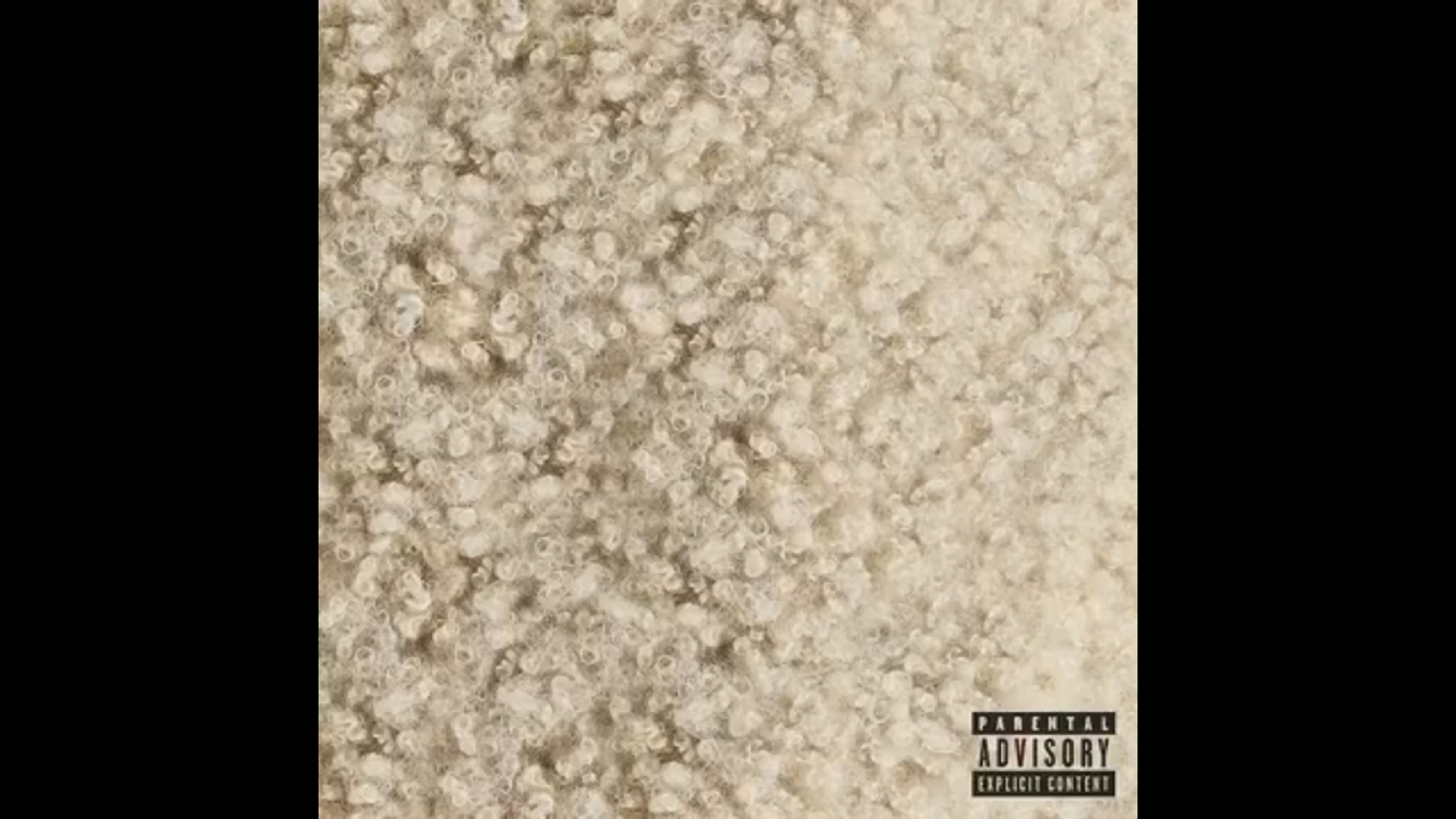 【豆荚猫】doja cat 新专『scarlet』豪华版加曲「masc」试听片段公开