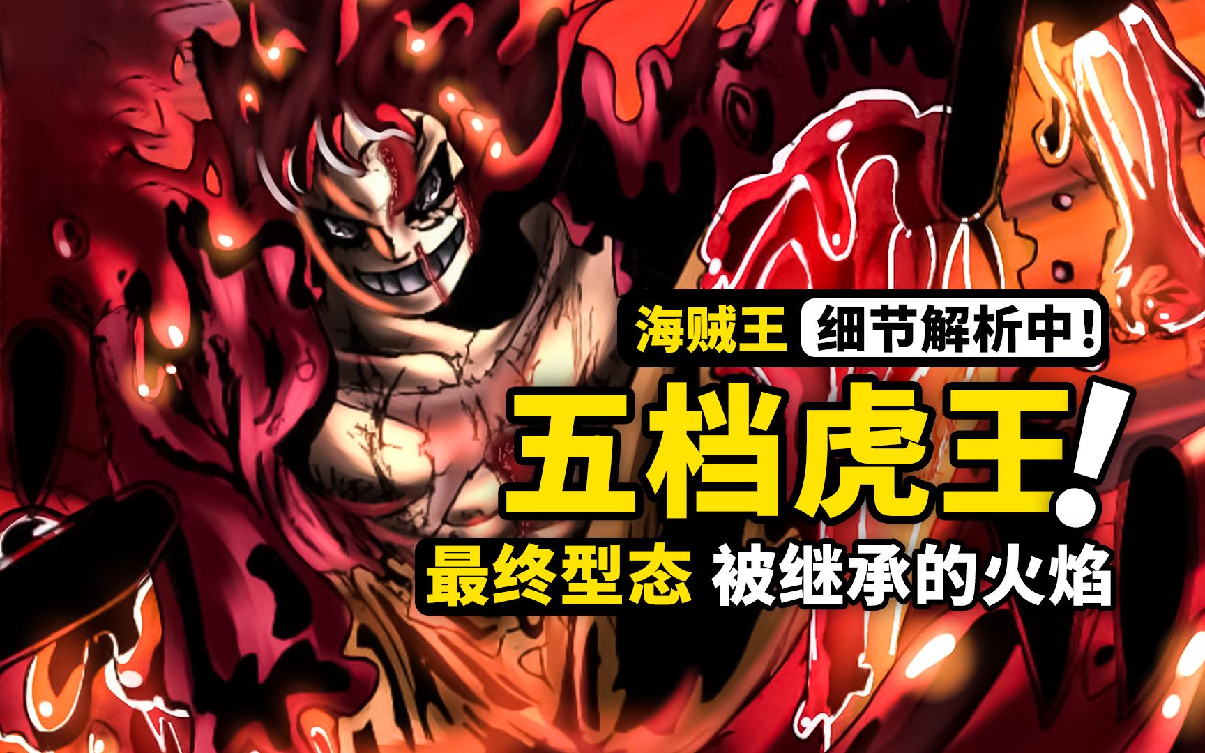五档路飞觉醒终极猜想揭开橡胶果实变形之谜跨越500话的伏笔被继承的