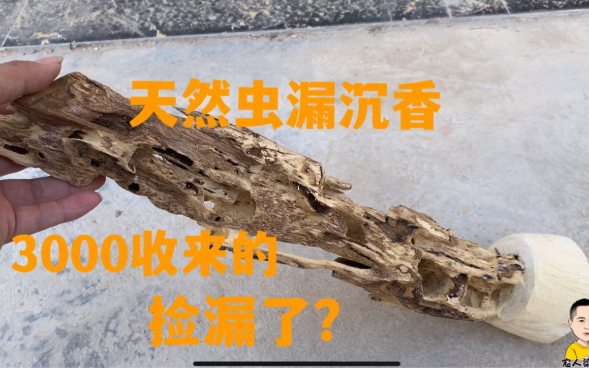 花3000块收到的虫漏沉香,看到成品是不是捡漏了?哔哩哔哩bilibili