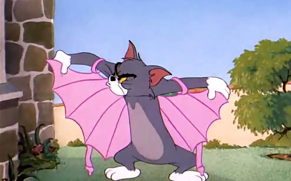 猫和老鼠之会飞的猫