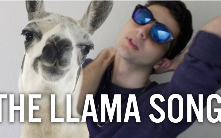 【Twaimz】【Vine】油管红人Twaimz自创草泥马之歌The llama song哔哩哔哩bilibili