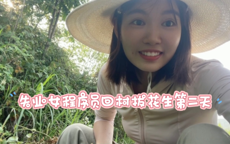 28岁女程序失业回村Vlog|拔花生第二天,觉得自己超能干的,又是有趣又充实的一天哔哩哔哩bilibili