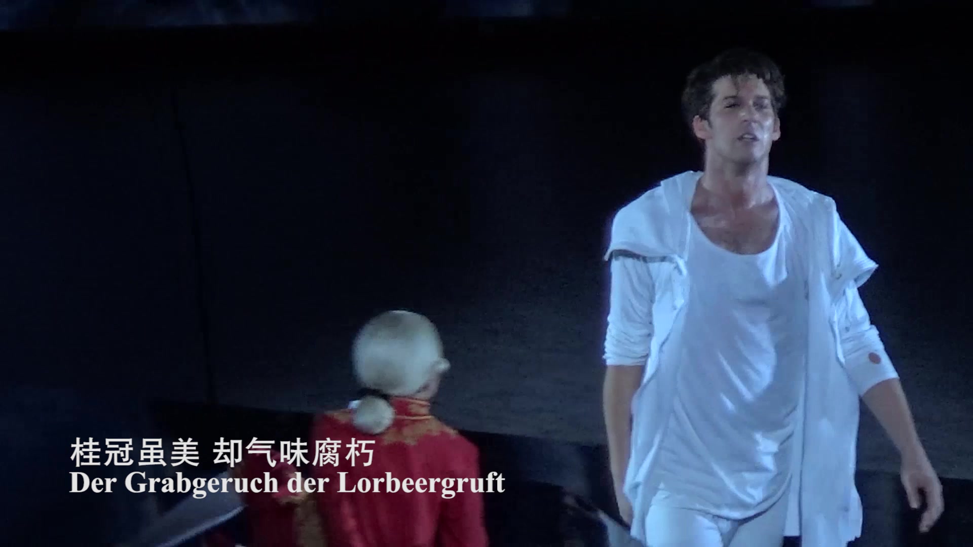 【德扎】【Thomas Hohler】【双语字幕】如何摆脱阴影 Wie wird man seinen Schatten los_哔哩哔哩 ...