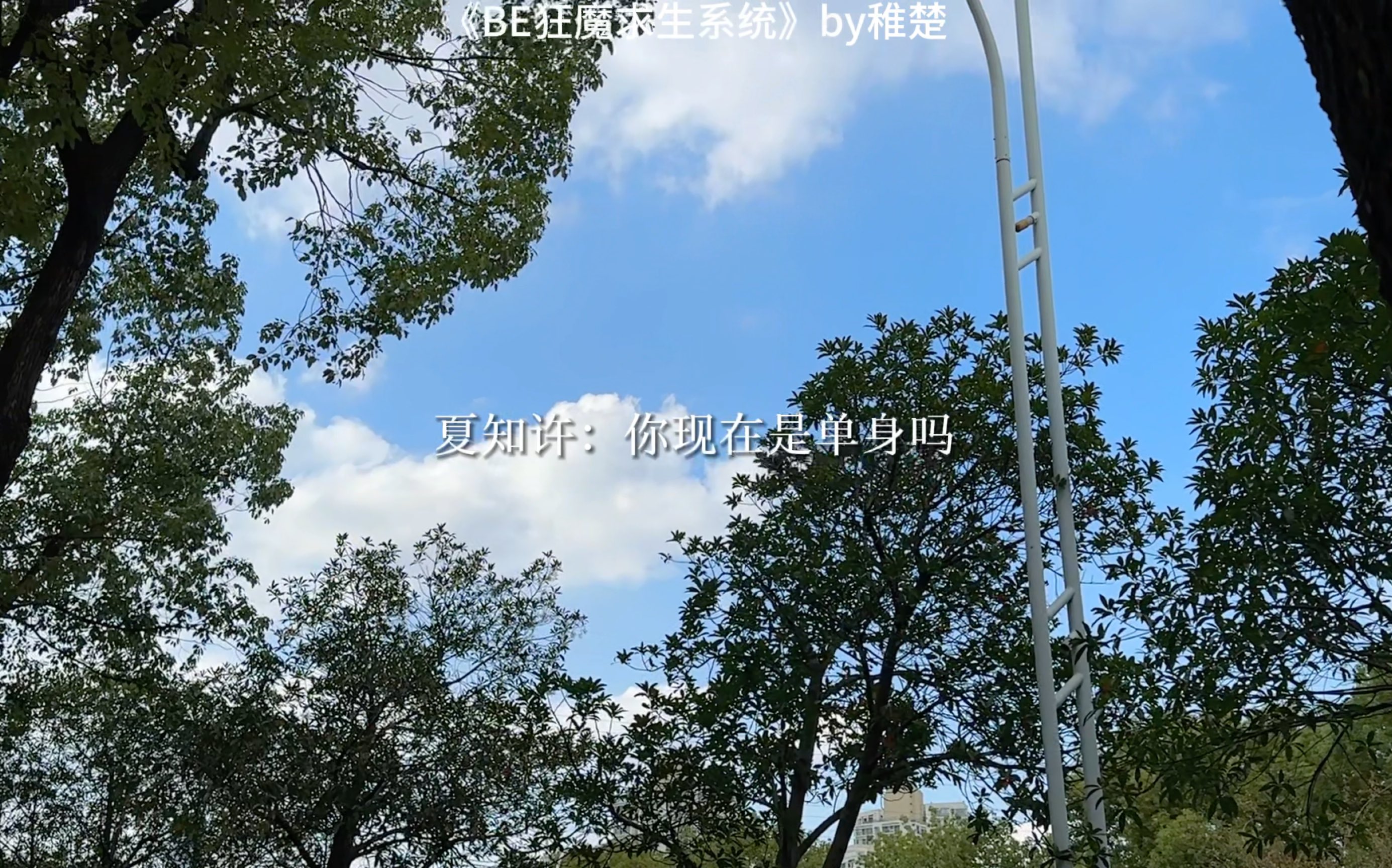 琛琛:社死就在一瞬间哔哩哔哩bilibili