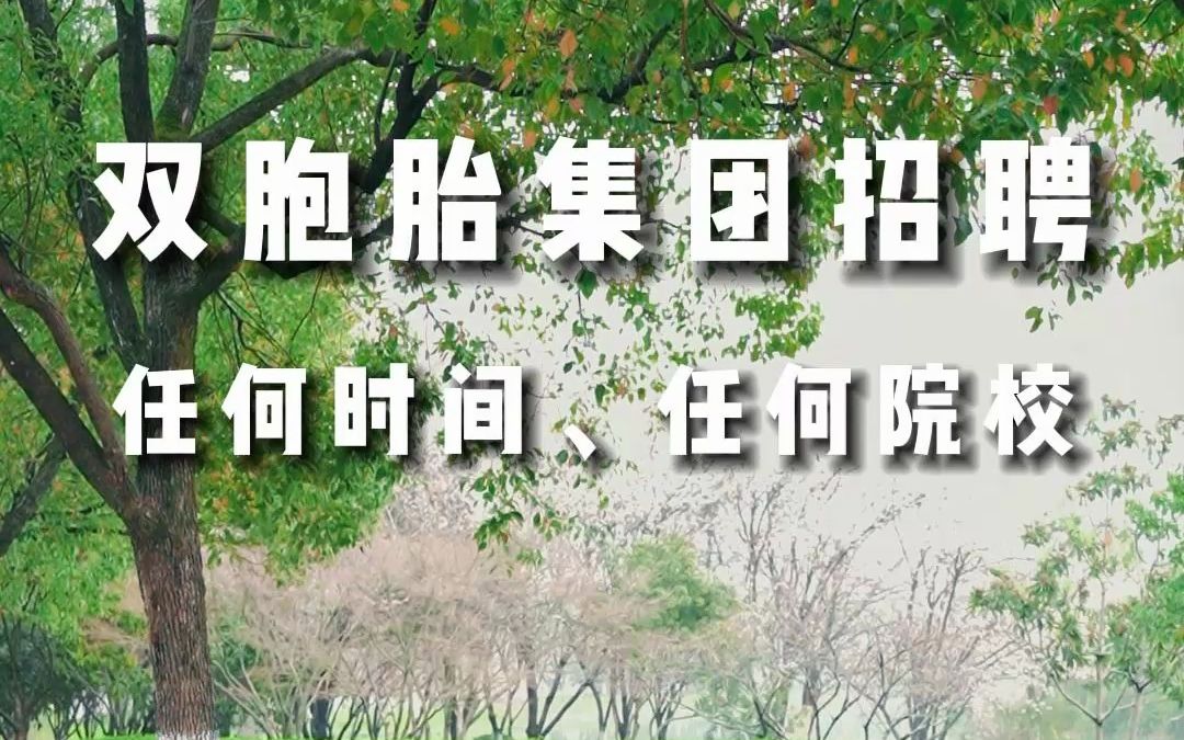 双胞胎集团:任何时间、任何院校,均可投递简历!哔哩哔哩bilibili