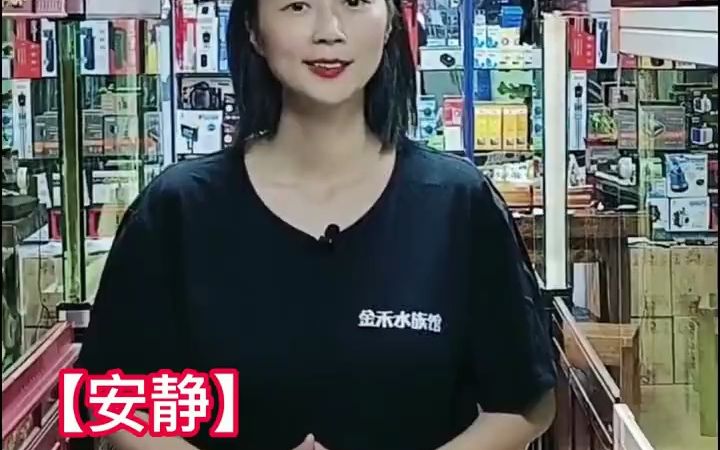 龙鱼配鱼!黑云鱼又称乌云鱼!干货收藏哔哩哔哩bilibili