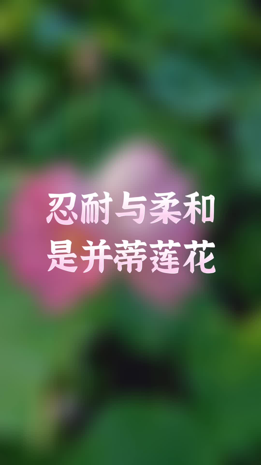 [图]忍辱和柔和是一双并蒂莲花