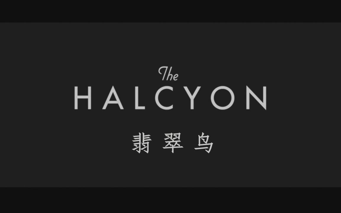 【原创】翡翠鸟The Halcyon哔哩哔哩bilibili