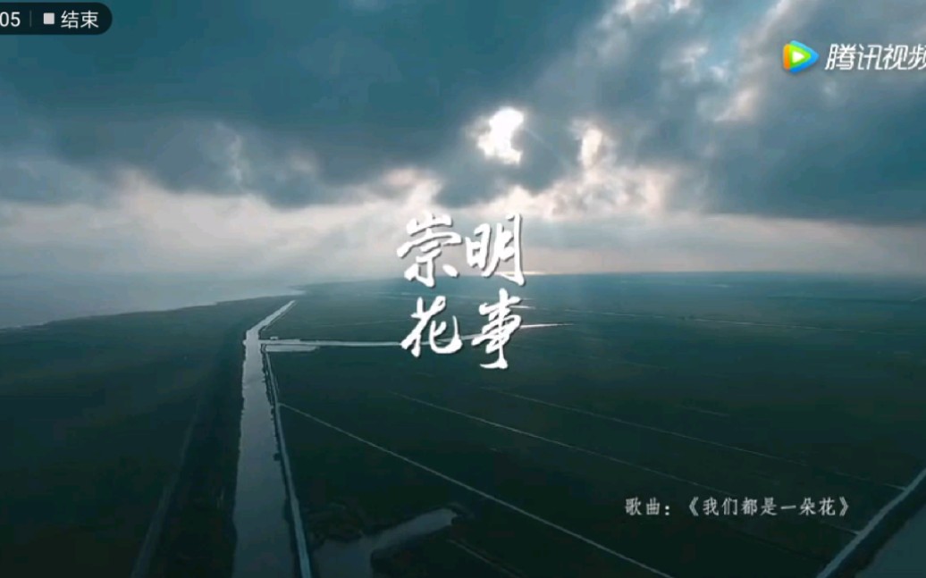 【MV】2021年第十届中国花博会在上海崇明展开!哔哩哔哩bilibili