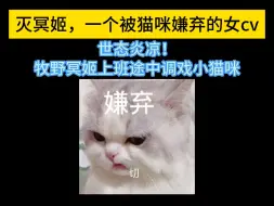 Download Video: 牧野冥姬，一个被猫咪嫌弃的女cv