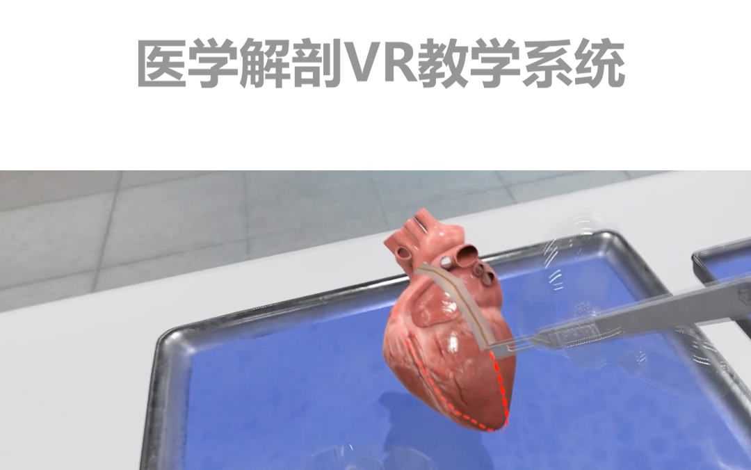 [图]医学解剖VR教学系统