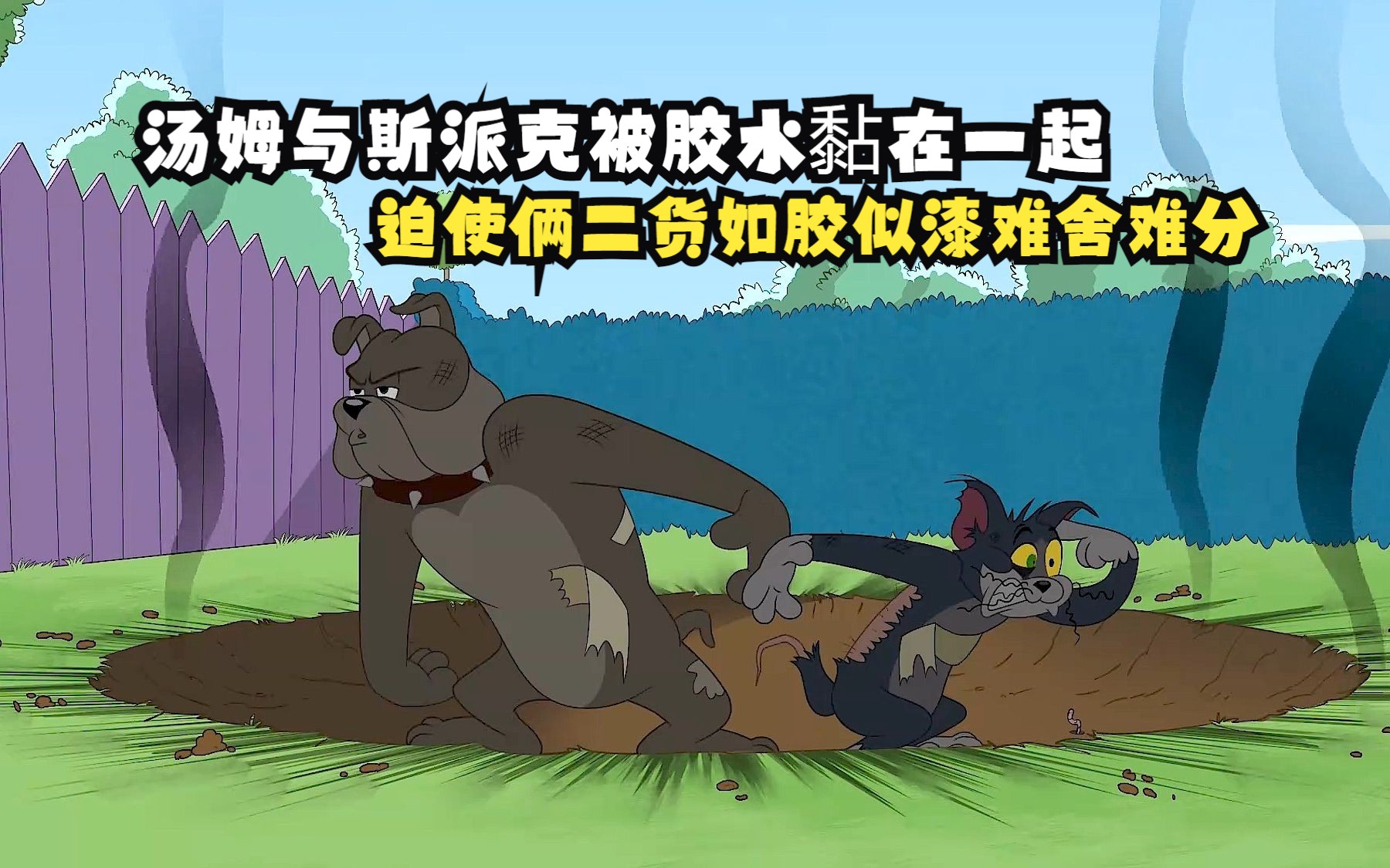 汤姆与斯派克被胶水黏在一起,迫使俩二货如胶似漆难舍难分