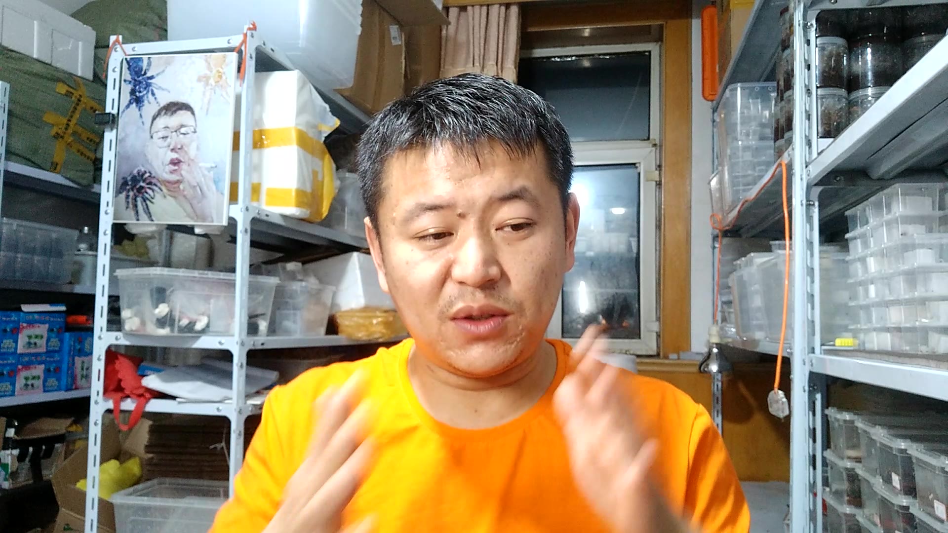 【乱哥】蜘蛛脱水怎么办？什么是脱水?怎么治疗?