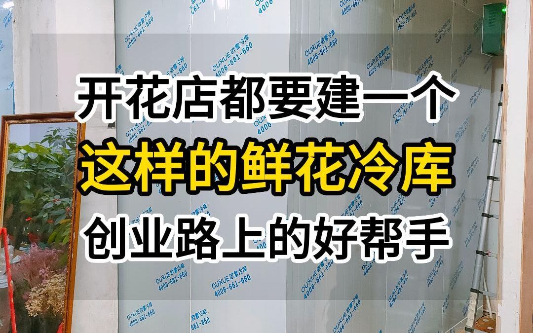 开花店都要建一个这样的鲜花冷库,哔哩哔哩bilibili