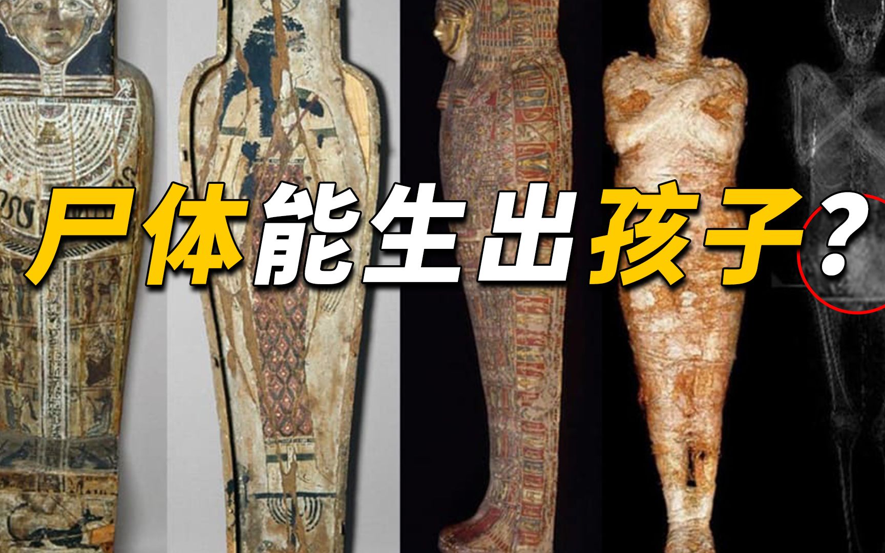 世界首具怀孕木乃伊现身,胎儿7个月大,它究竟能不能"生"出孩子?