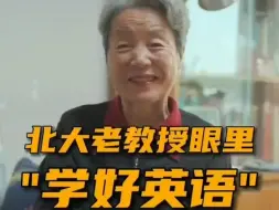 Tải video: 北大英语系教授刘意青老师眼中“学好英语”的方法。