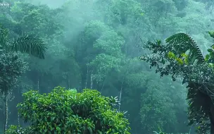 Descargar video: 自然治愈 / 雨天的风景+放松小调