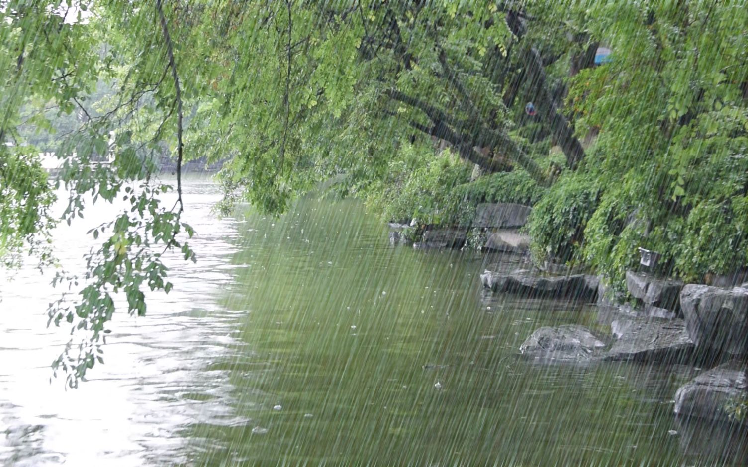 [图]【30分钟白噪音】江雨霏霏江草齐，六朝如梦鸟空啼