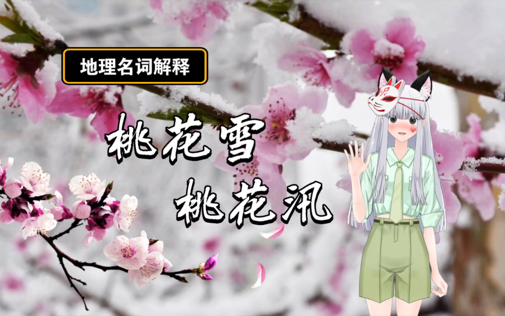 春季限定:桃花雪与桃花汛【爆爆|地理名词解释】哔哩哔哩bilibili