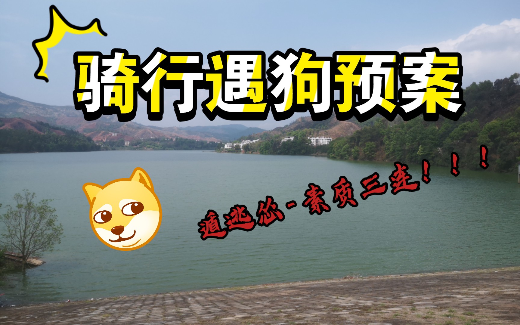 骑游探访丨骑行遇狗预案丨红旗水库