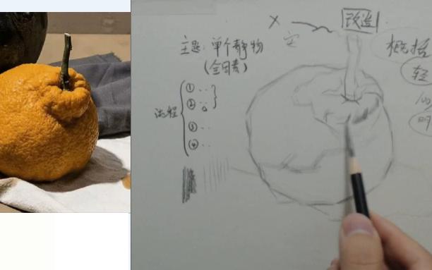 教程简单学】美院老师让你轻松学会画橘子(67)--素描零基础入门教程