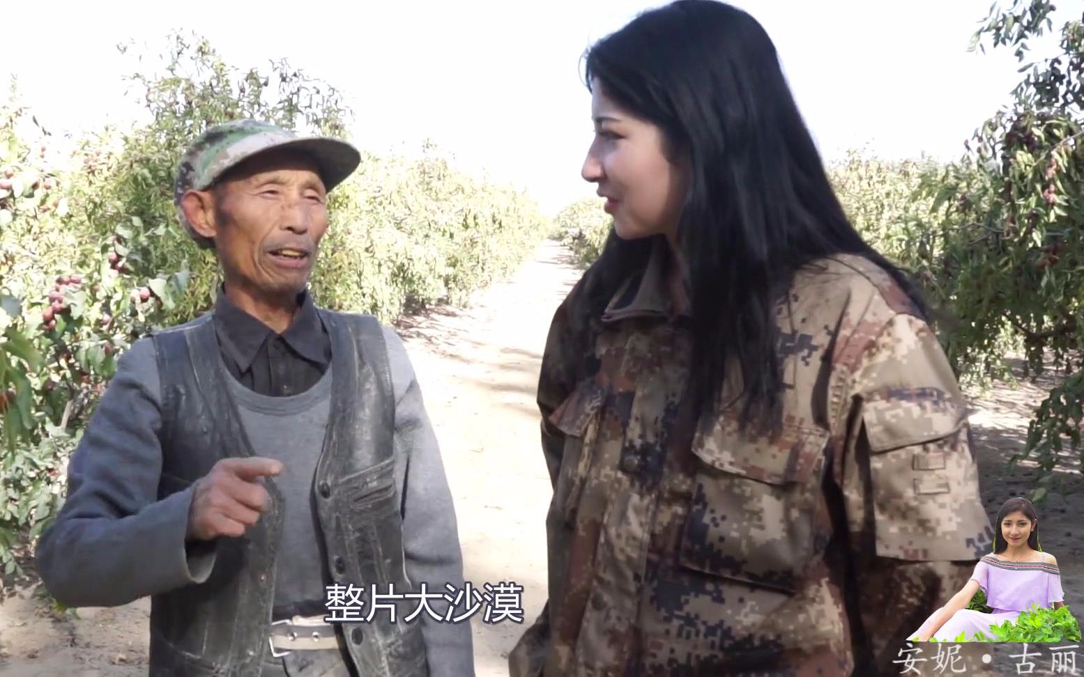 新疆农民种地治沙漠,上万亩的枣树和棉花成熟!为啥没人过来买?哔哩哔哩bilibili