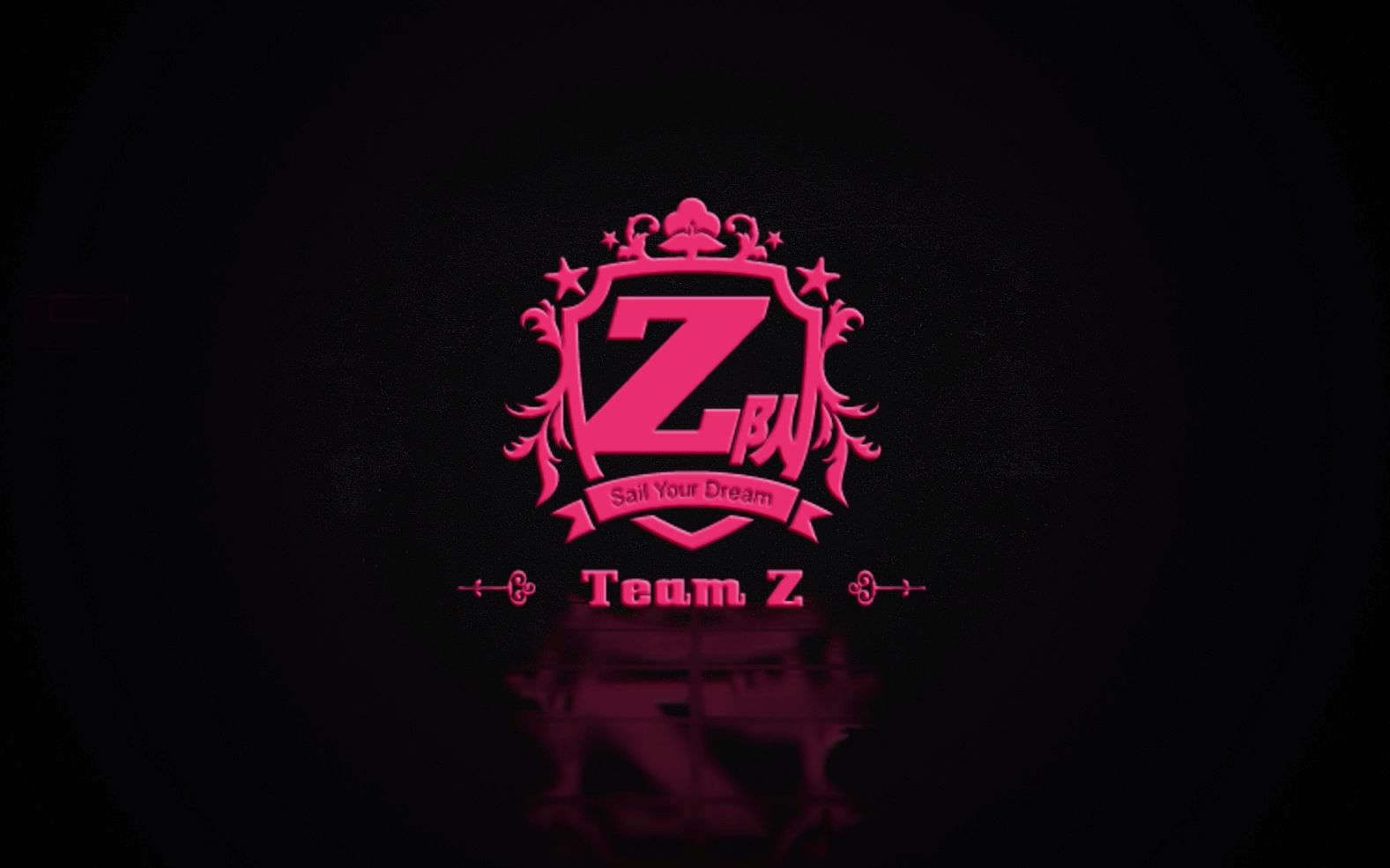 GNZ48TeamZ 五周年回顾哔哩哔哩bilibili