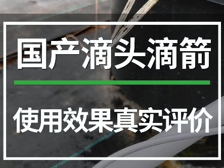 国产滴头滴箭,使用效果真实评价.蓝莓种植专用滴箭、防滴式压力补偿滴头.#蓝莓种植 #蓝莓种植技术 #大数据把我推给爱吃蓝莓的人 #滴灌喷灌水肥一体...