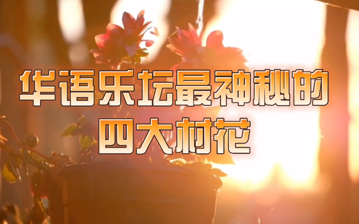 华语乐坛最神秘的四大村花,我们都认识也不认识!