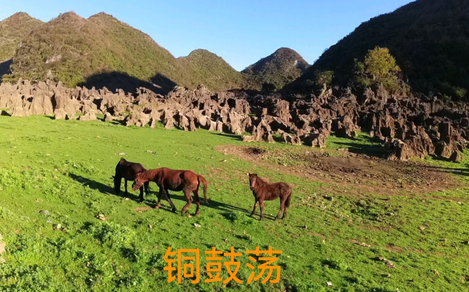 [图]摩旅贵州来到一处异域星球般却生机盎然的山谷