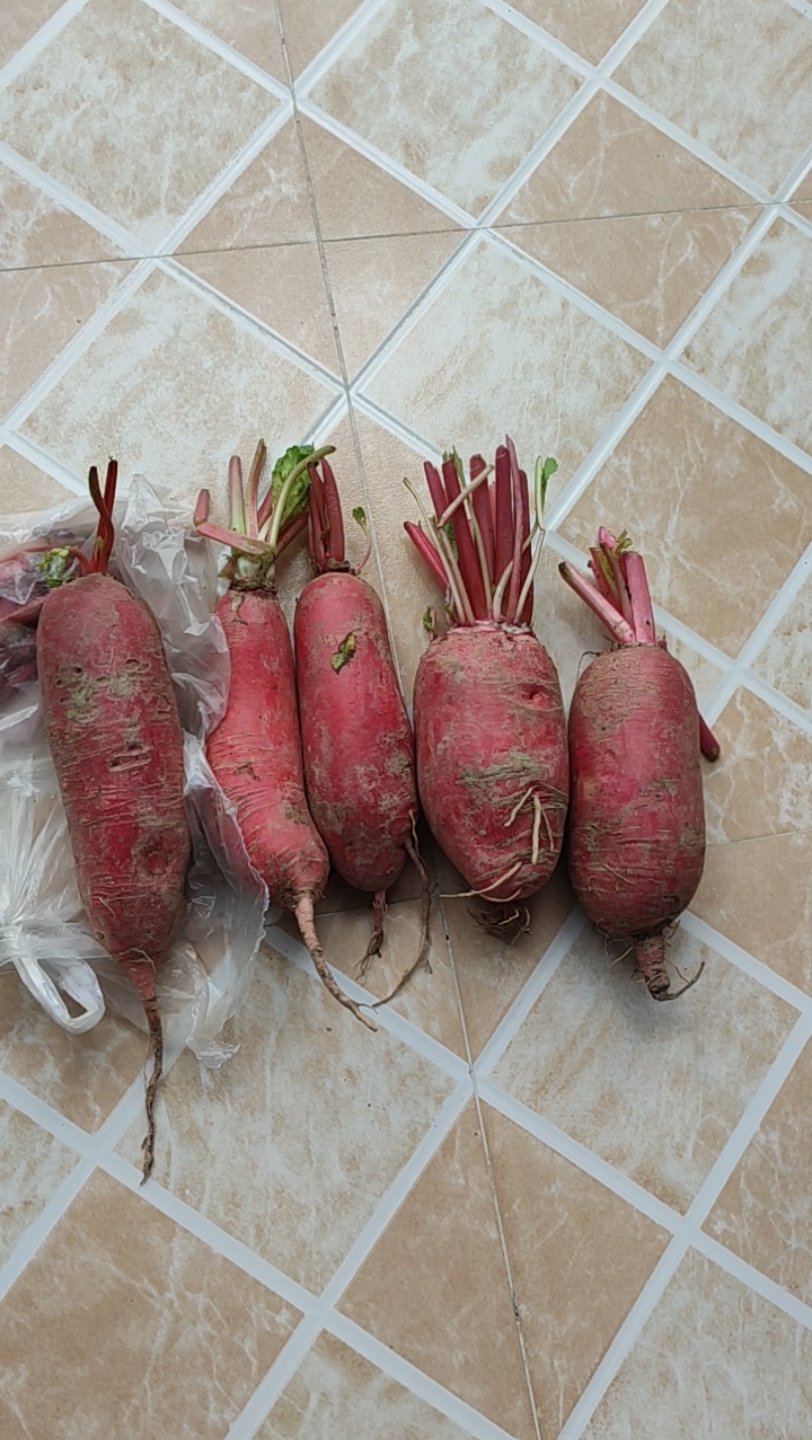 拼多多买的红皮萝卜,挺新鲜的.