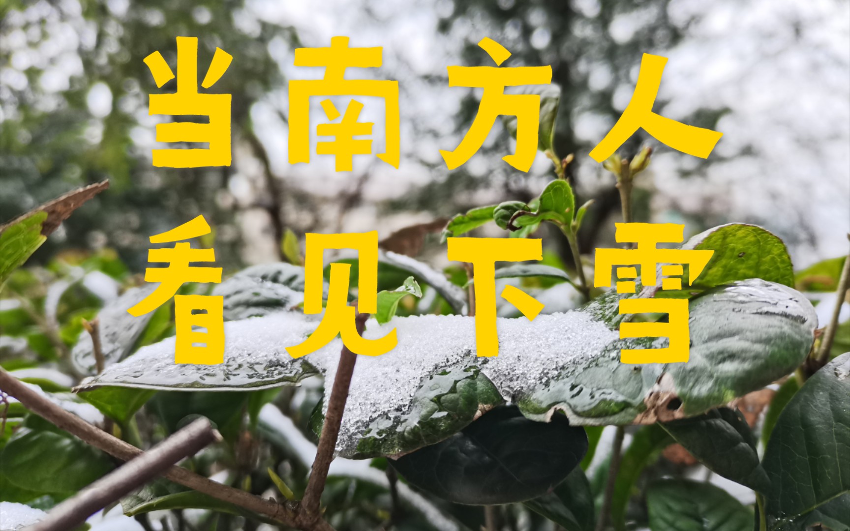 当南方人看见下雪