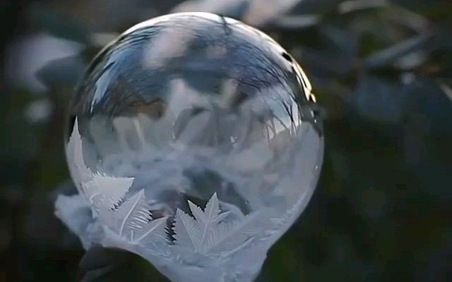 『冰花泡泡』"冰雕"超美der!