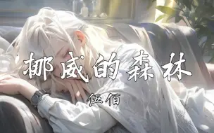 Download Video: 【4k】《挪威的森林》-伍佰