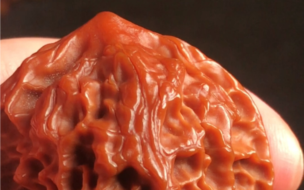 玉玲珑狮子头 #文玩核桃 #核桃爱好者