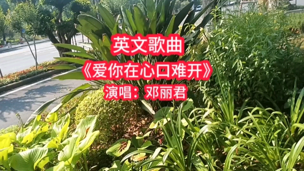 [图]邓丽君经典英文歌曲《爱你在心口难开》