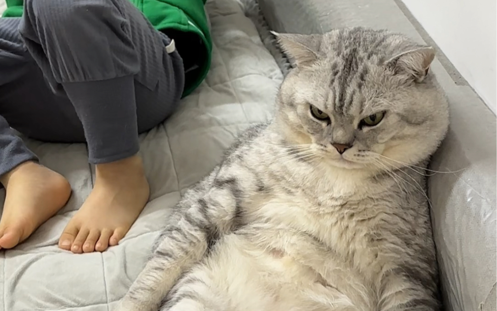 大壮的表情应该是嫌小弟吵